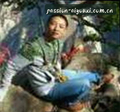 赵敏